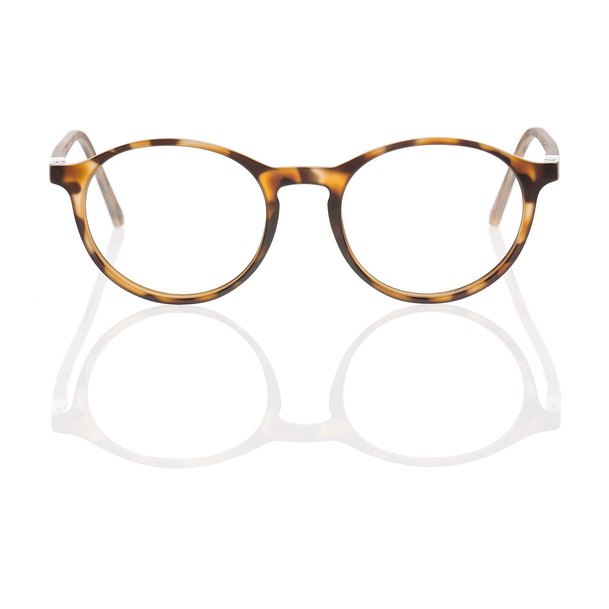CULTO dp69 Eyewear